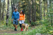 Walking the dog