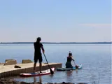 Bear Lake Dock