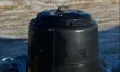 Purchase a backyard composter