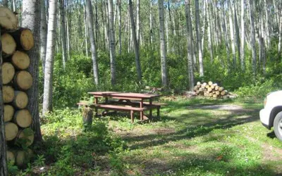 Old Bezanson Townsite