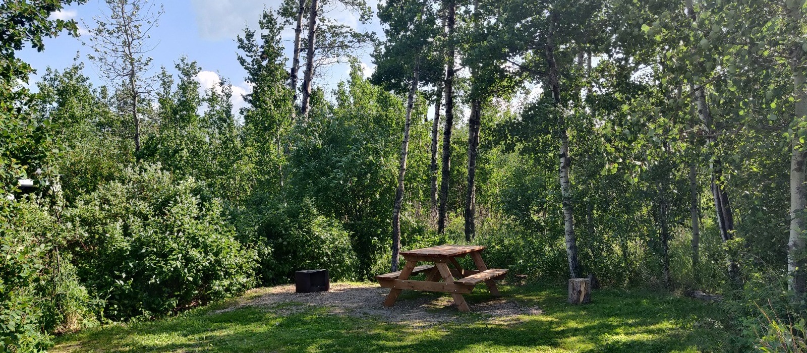 Site 6