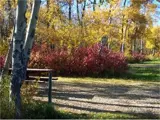 Kleskun Campsite