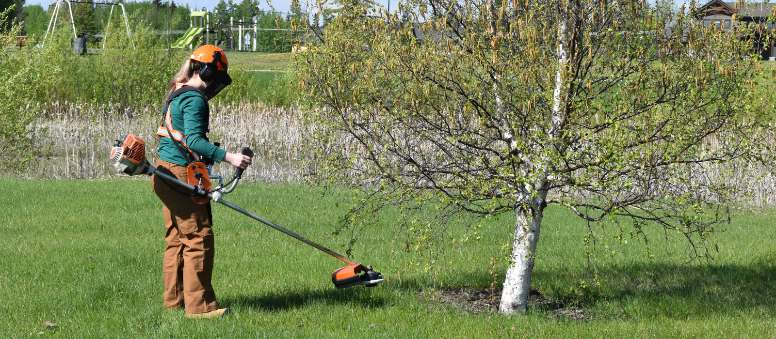 Beautification Mowing