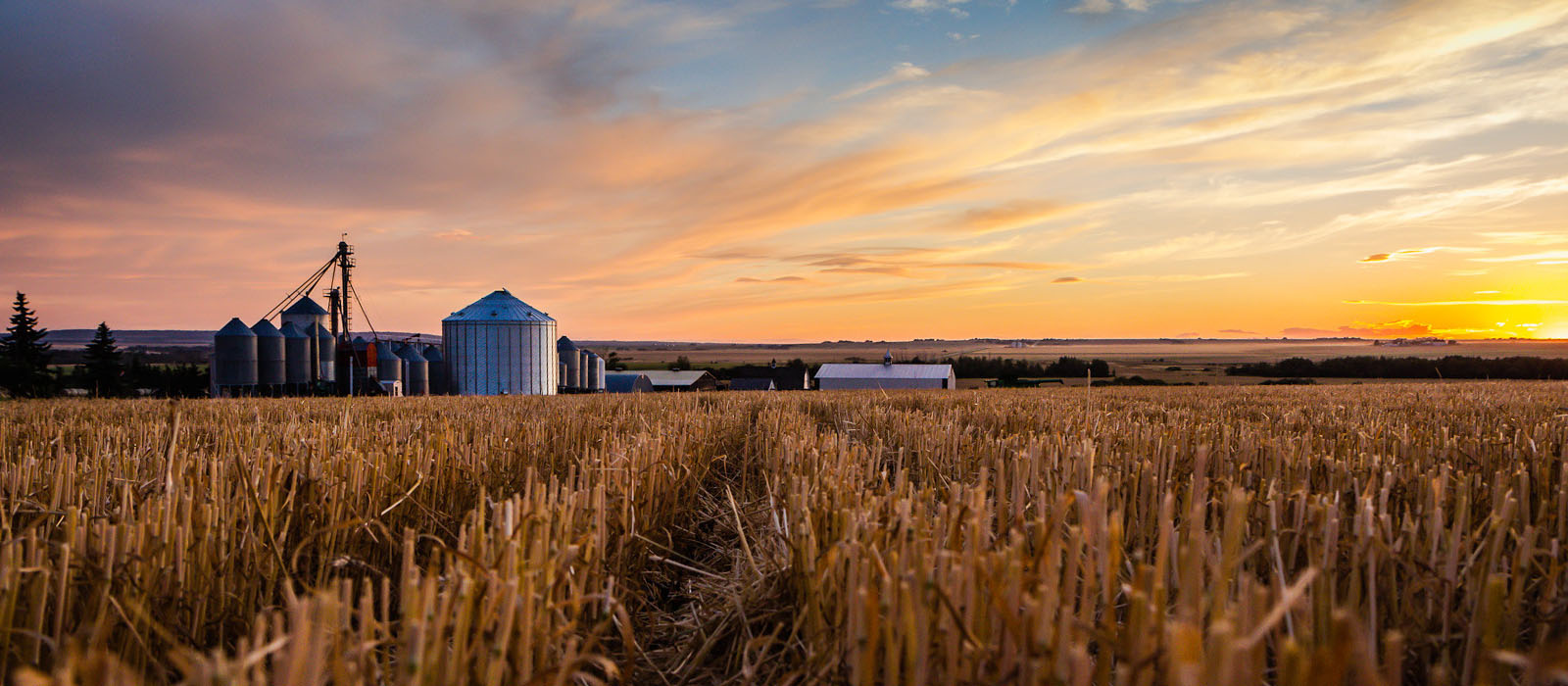 sunb setting on a crop