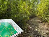 Trail