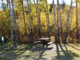 campsote