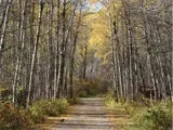 Old Bezanson Townsite