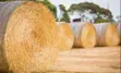 Twine and Grain Bag Recycling